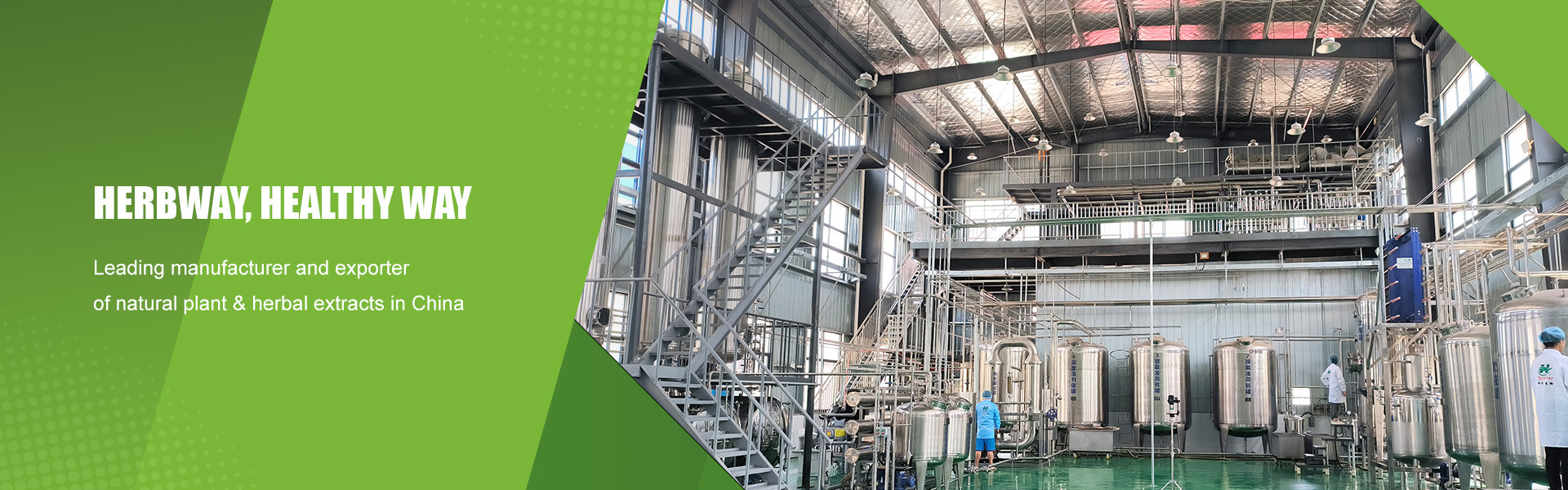 qualità Estratto vegetale in polvere fabbrica