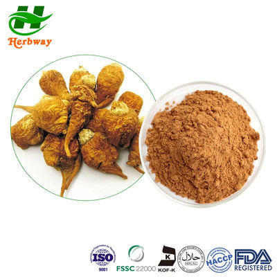 quality Salubrità delle ossa Estratto di Tongkat Ali in polvere Estratto di radice di maca in polvere factory